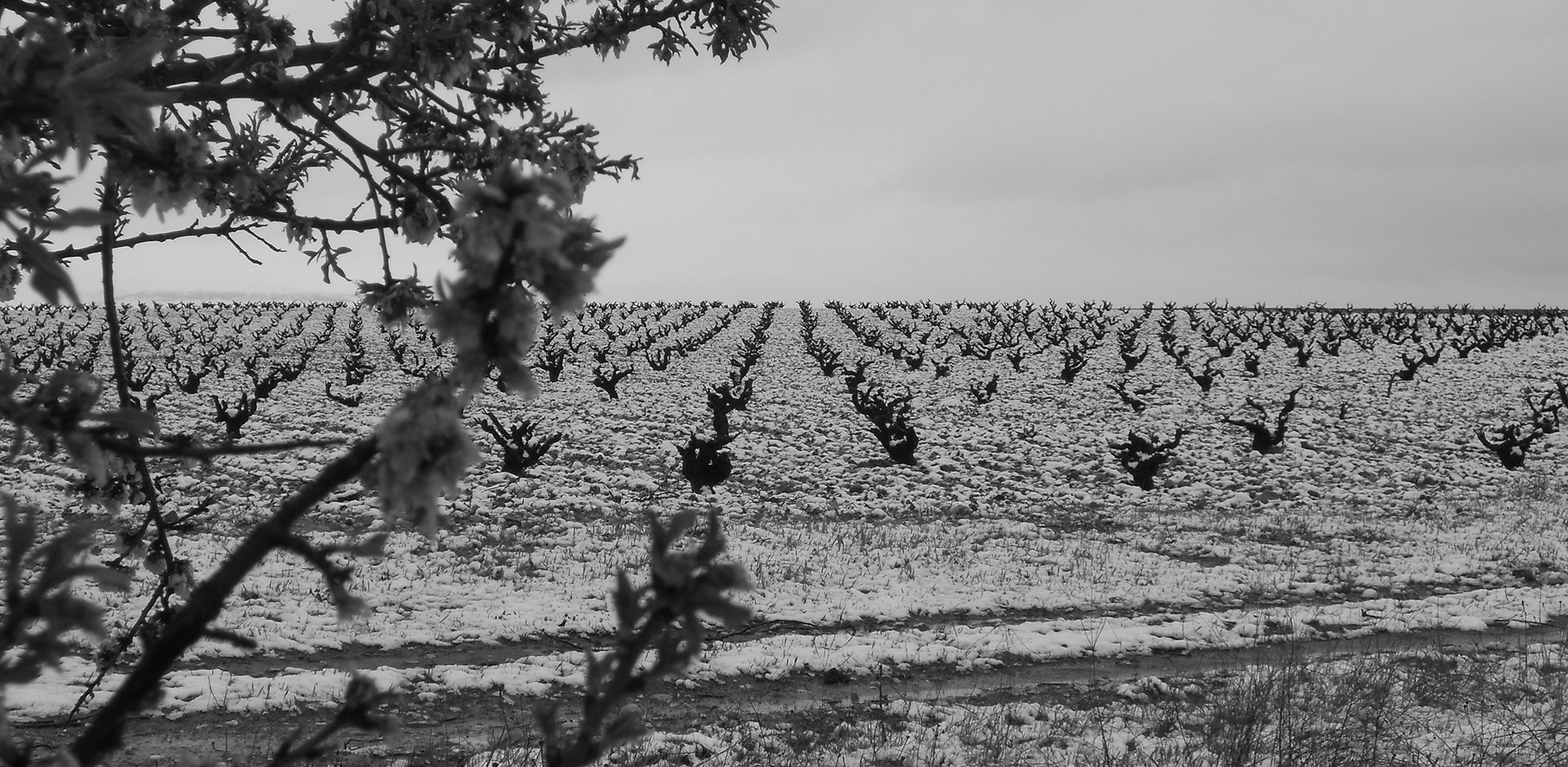 Bodegas Iturria